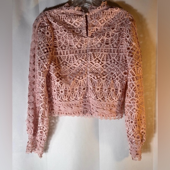 Amylynn Crochet Lace Crop Women's Blouse in Soft Pink - S - Picture 6 of 7